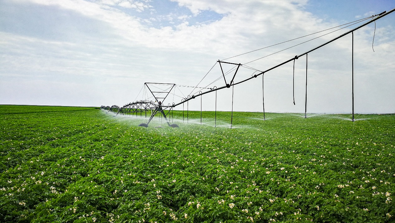 bevictor伟德官网-韦德官方网站